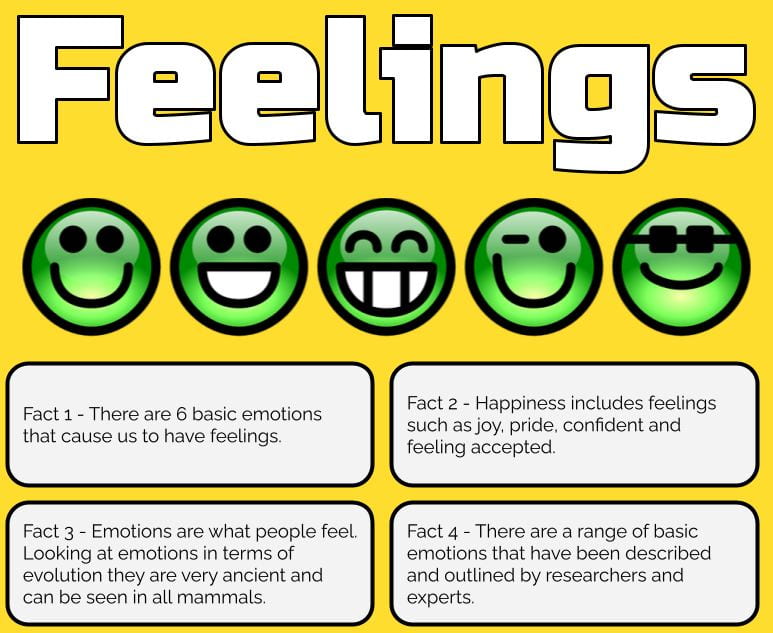 Four facts about Feelings. – Akesa @ Pt England School